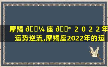 摩羯 🌼 座 💮 ２０２２年的运势逆流,摩羯座2022年的运势逆流而上